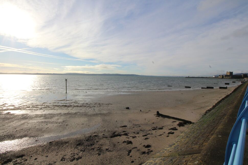 Image 15