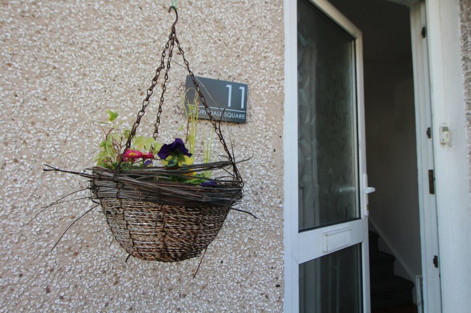 Image 12