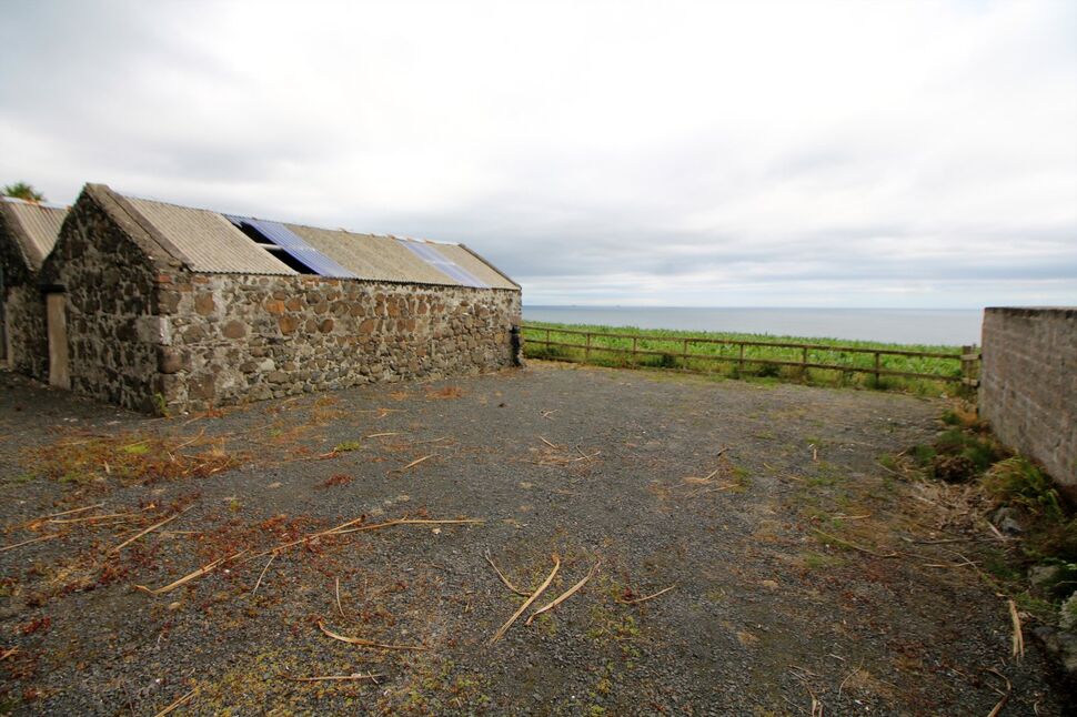 Image 26