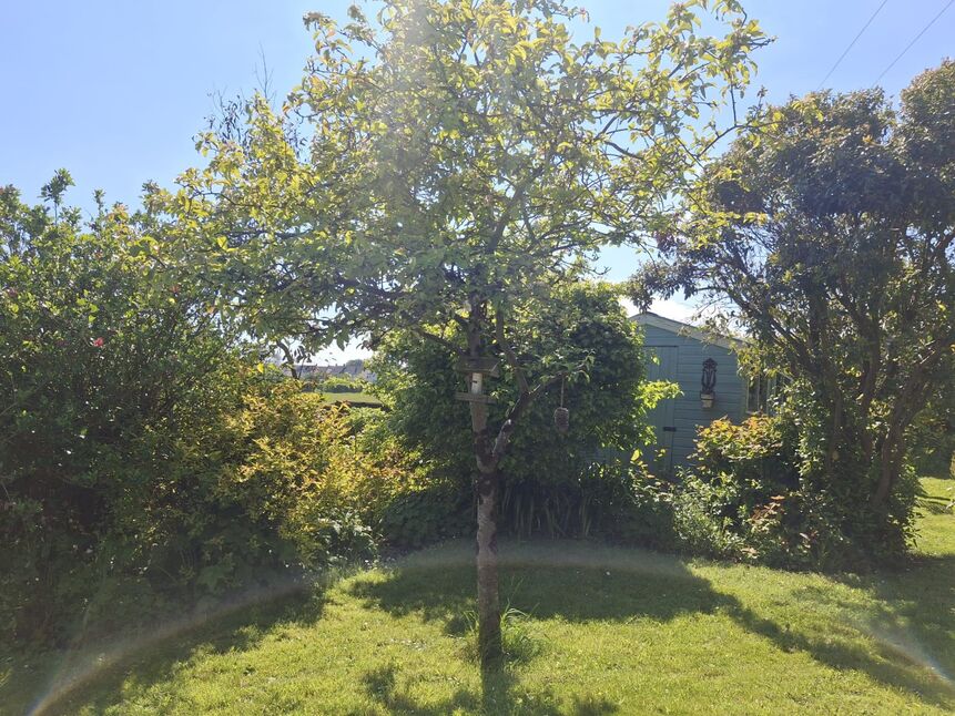 Image 25