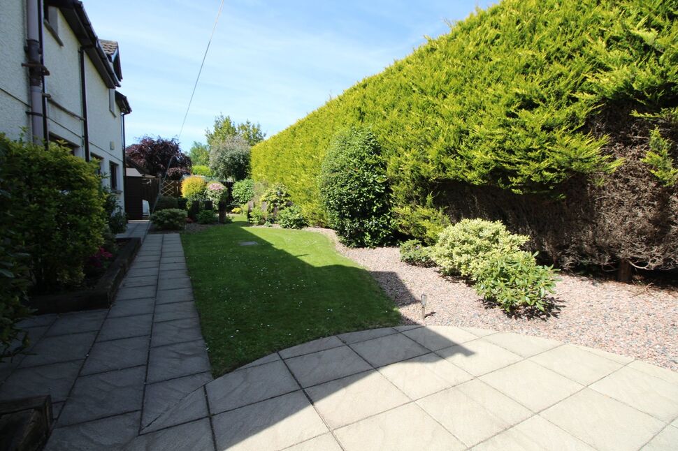 Image 15