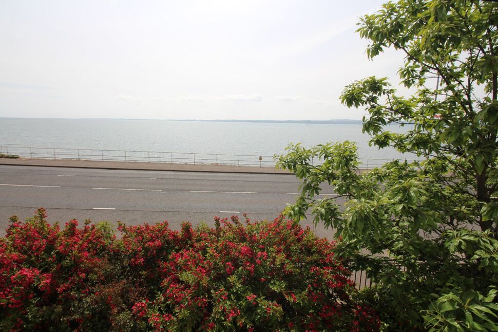Image 15