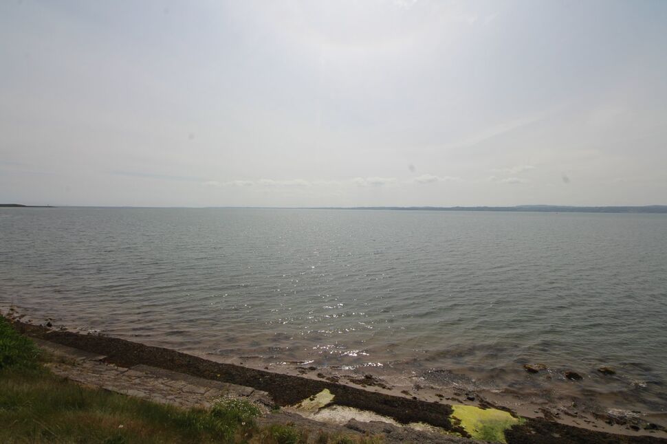 Image 13