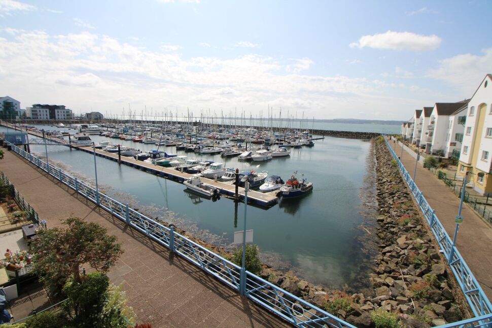 Image 11
