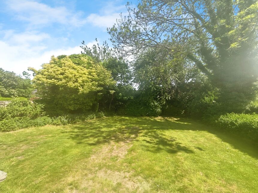Image 13