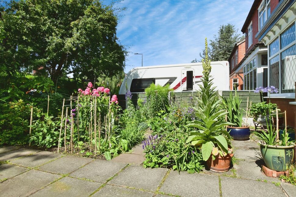 Image 15