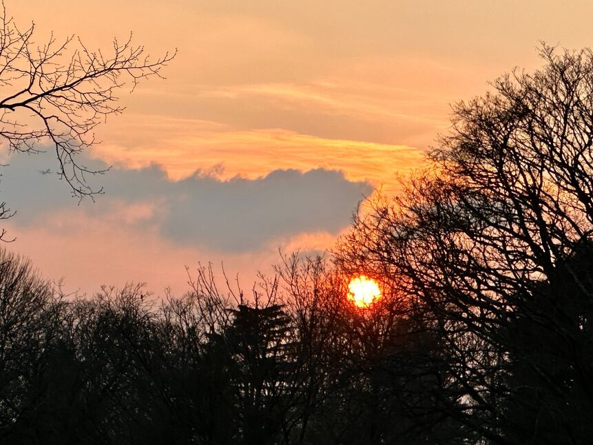 Image 15