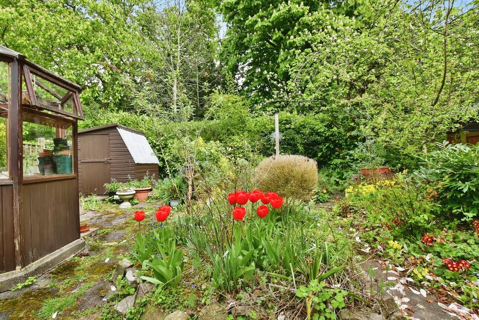 Image 18