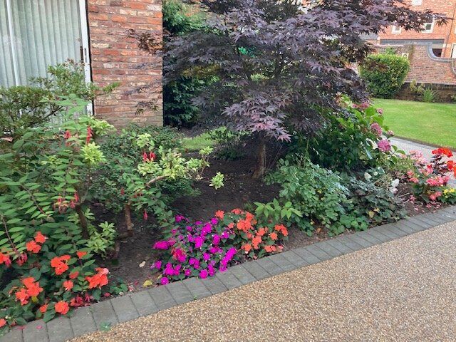 Image 16