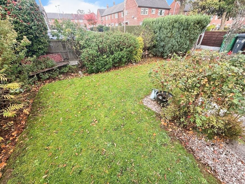 Image 15