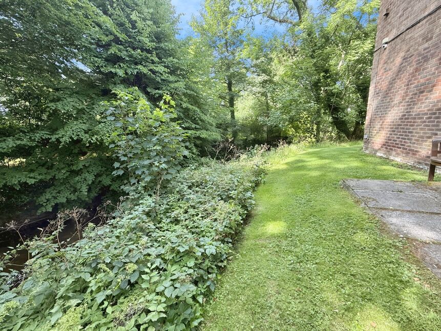 Image 15