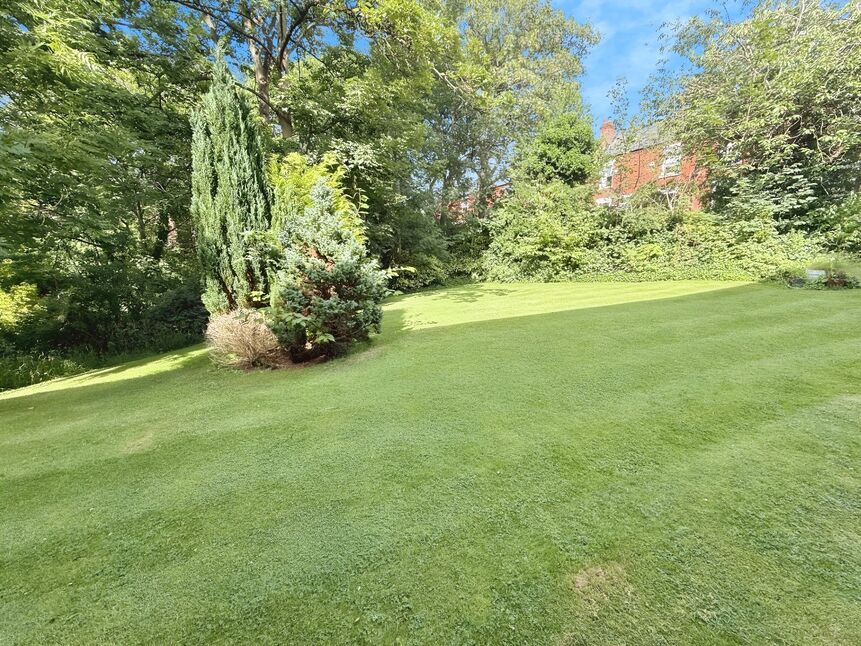 Image 17