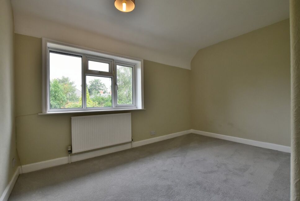 Image 20