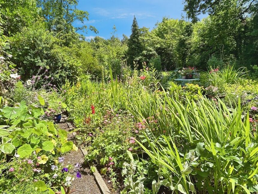 Image 20
