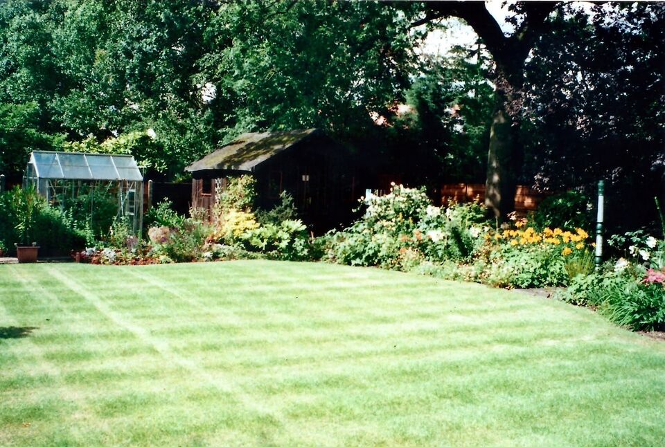 Image 13