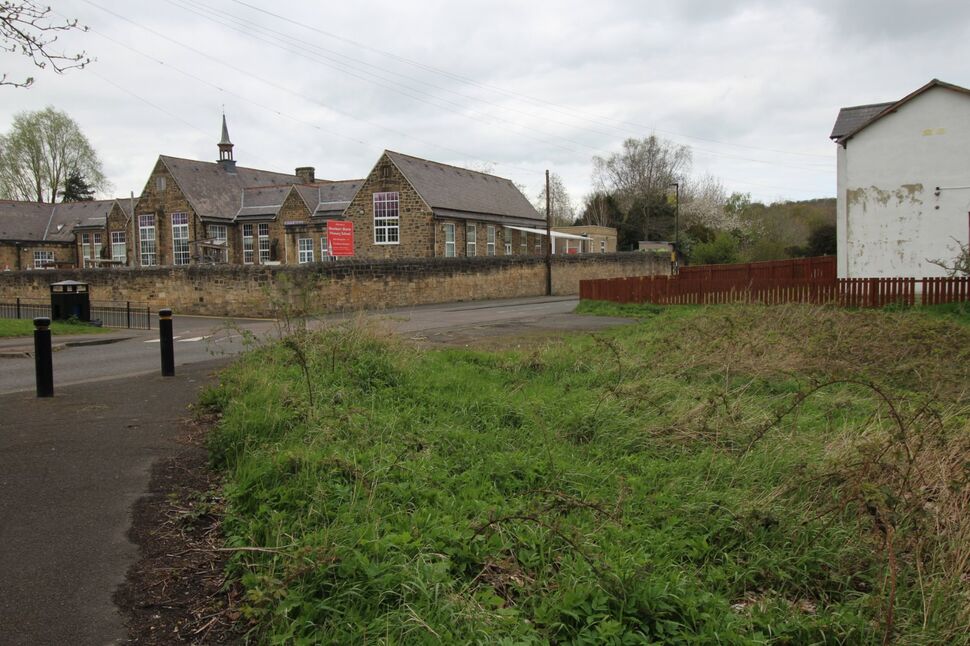 Image 11