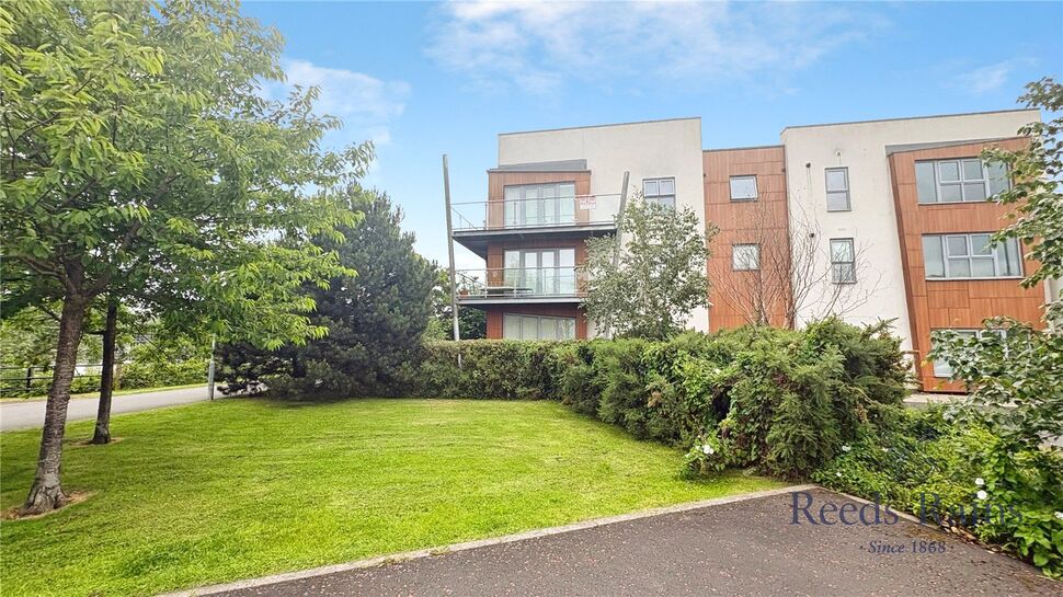 Image 10