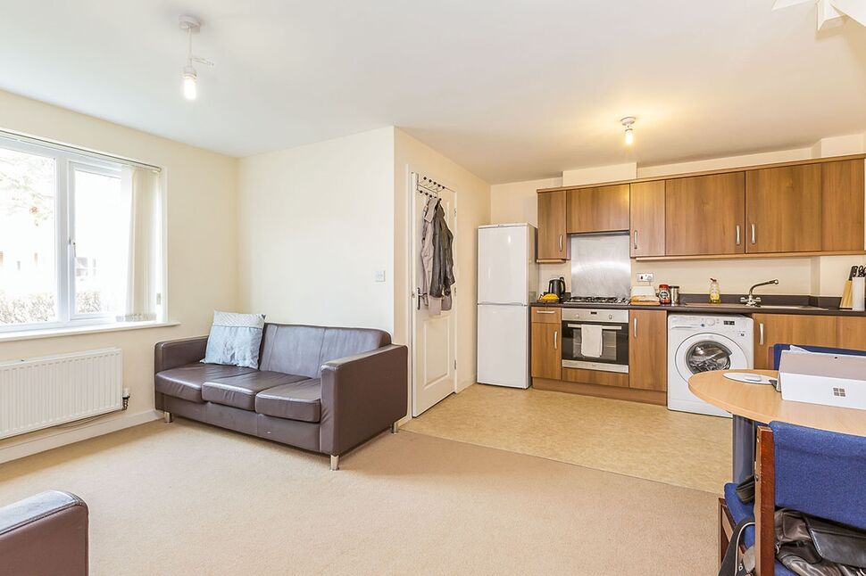 Lounge / Dining / Kitchen