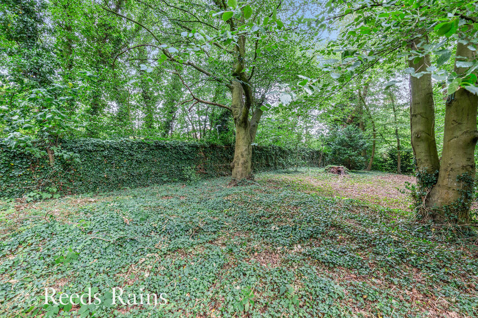 Image 25