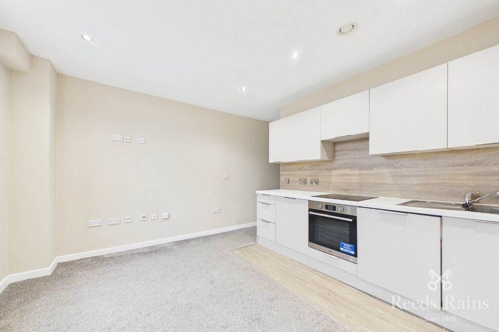 Living Room / Kitchen