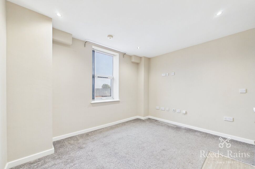 Living Room / Kitchen