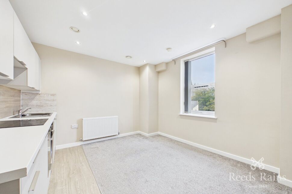 Living Room / Kitchen