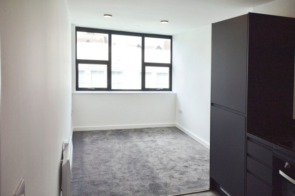 Kitchen / Living Area