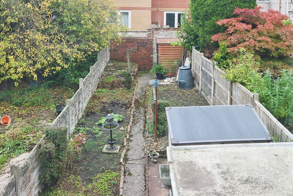 Image 11