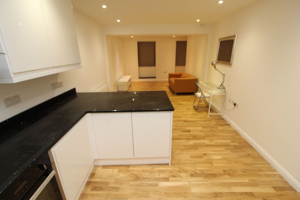 Kitchen / Dining Room / Loune