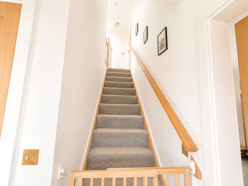 Image 15