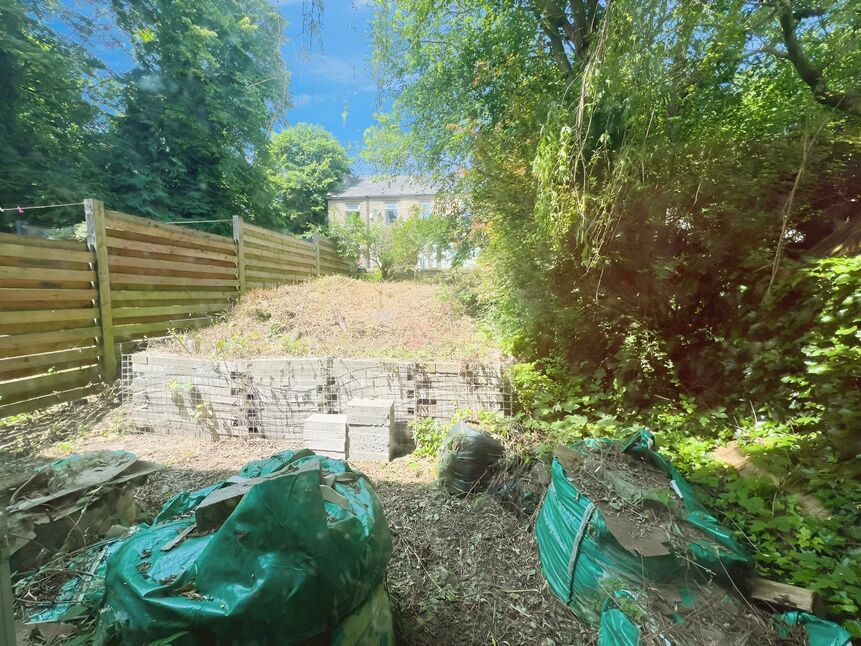 Image 13