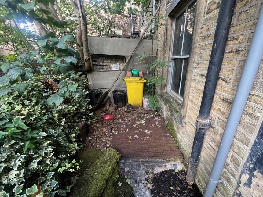 Image 11