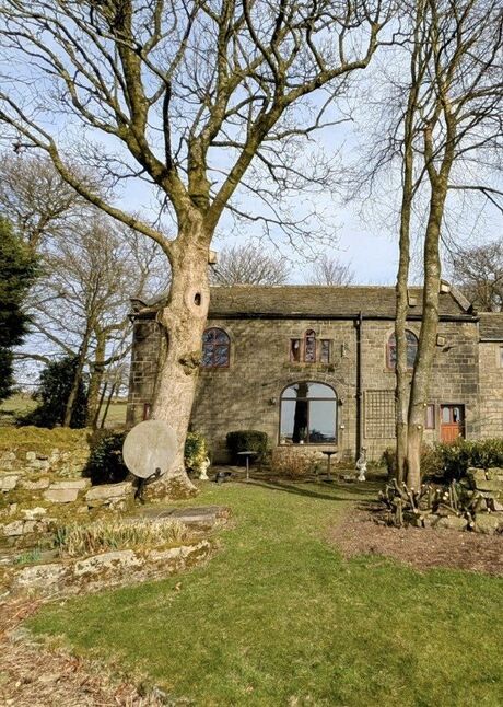 Image 13