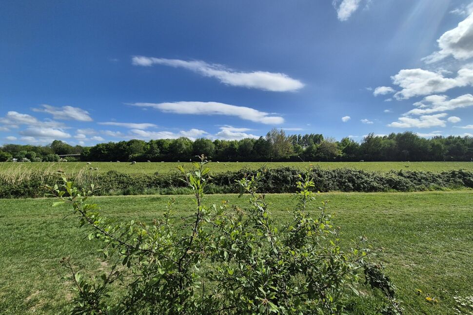 Image 15