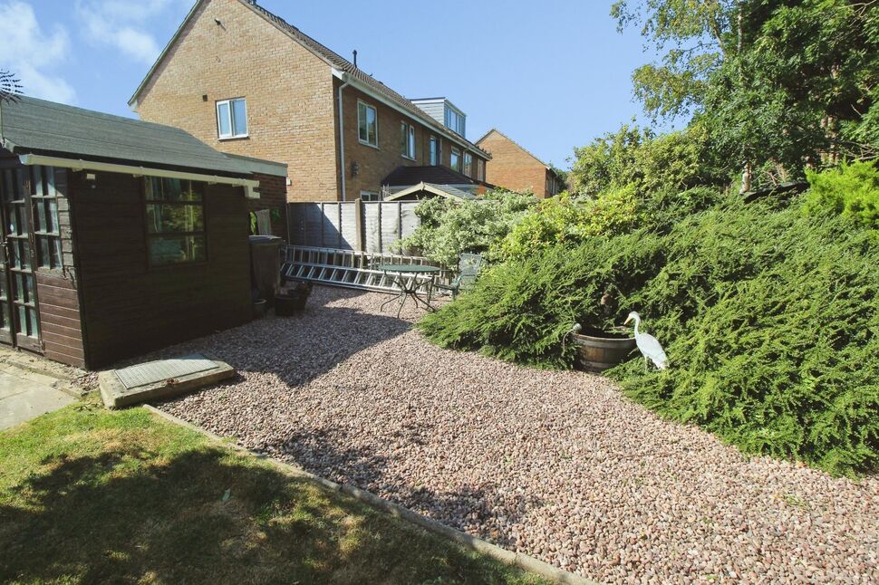 Image 15