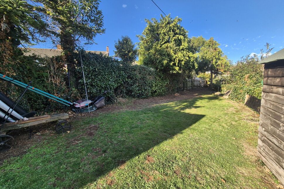 Image 15