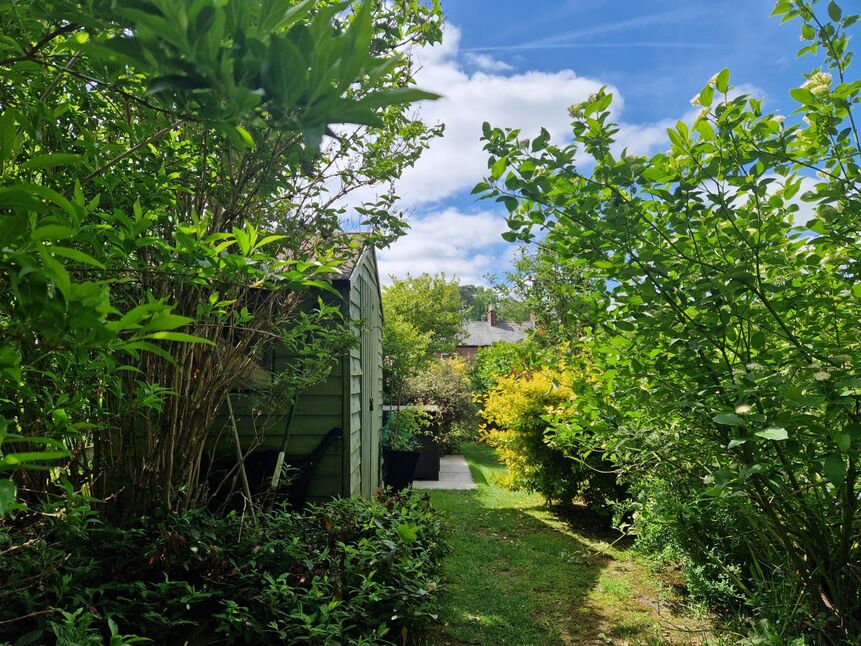 Image 20