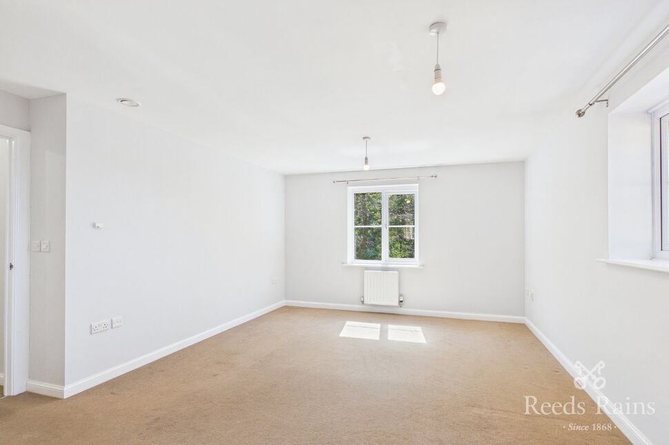 Kitchen / Living Area