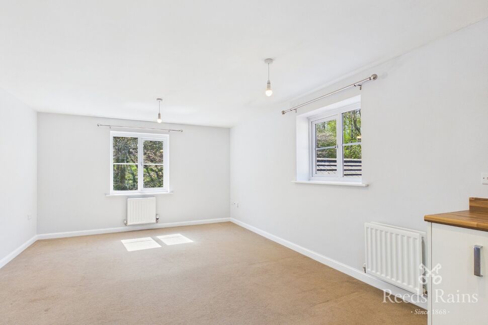 Kitchen / Living Area