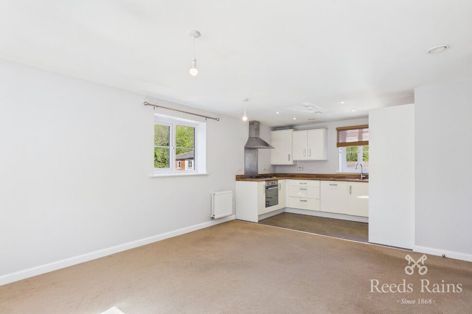 Kitchen / Living Area