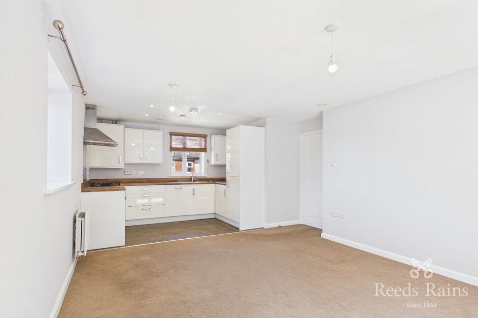 Kitchen / Living Area
