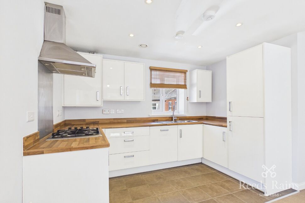 Kitchen / Living Area