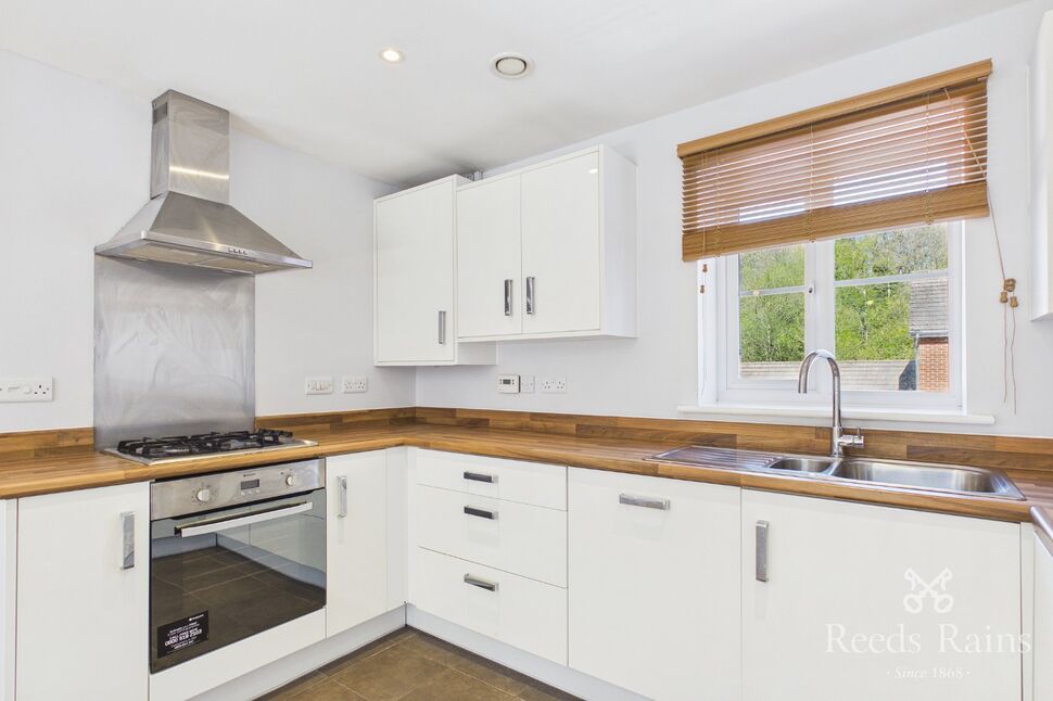 Kitchen / Living Area