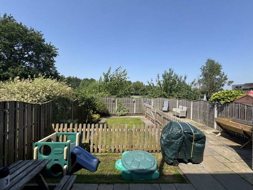 Image 15