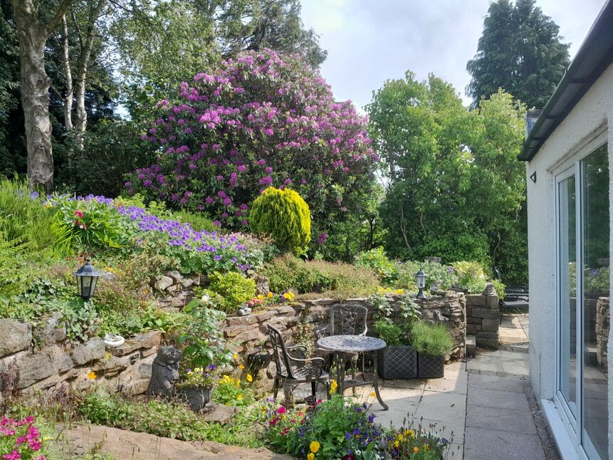Image 13
