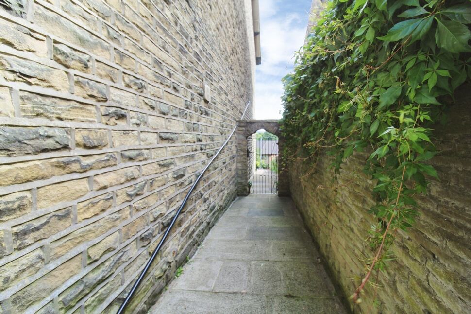 Image 15