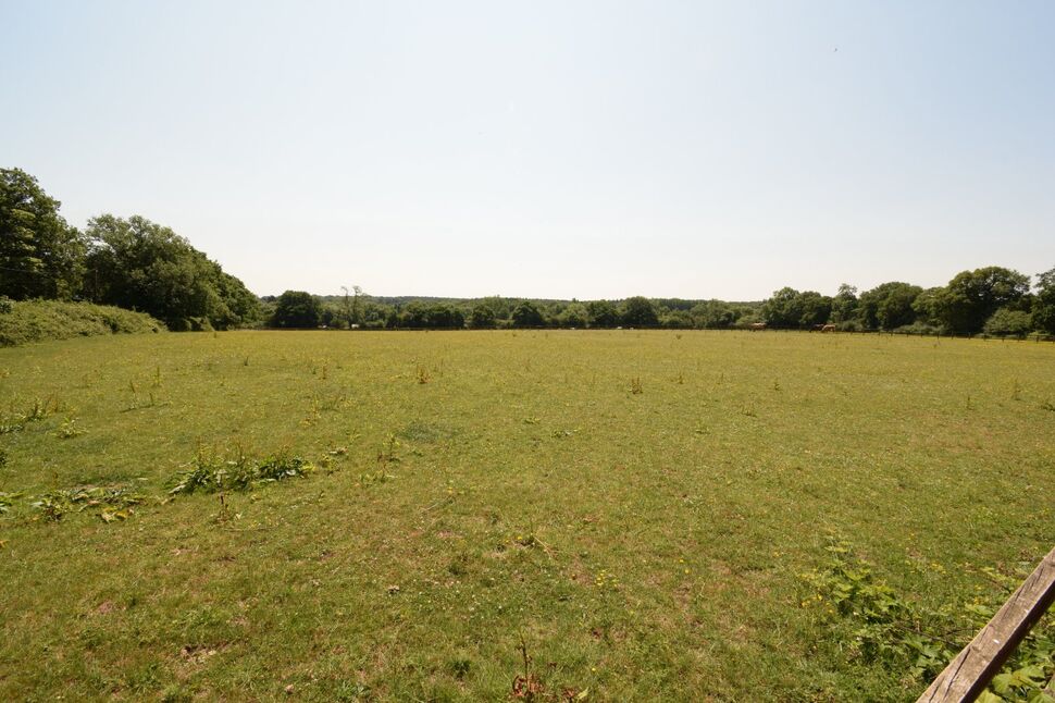 Image 31