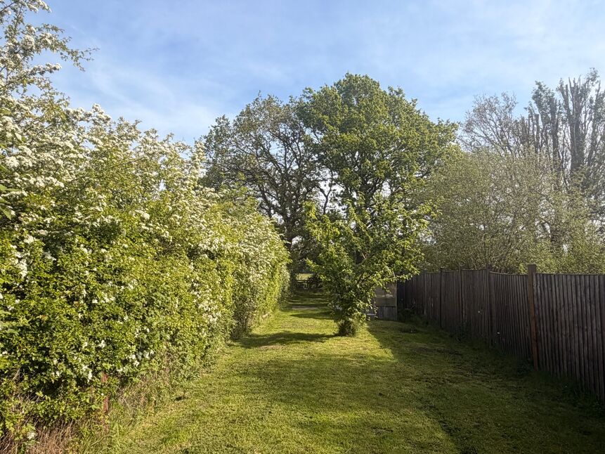 Image 36