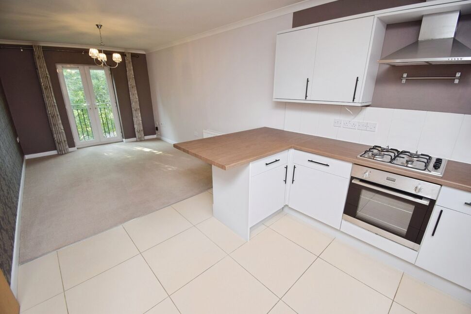 Kitchen / Living / Dining Room