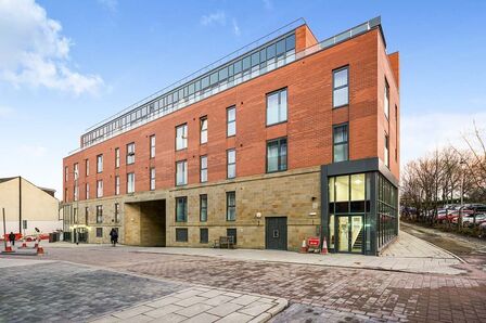 1 bedroom  Flat to rent